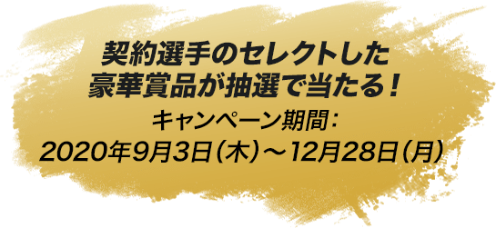 キャンペーン期間：2020年9月3日(木)～12月28日(月)