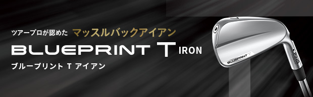 BLUEBRINT T IRON