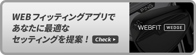 ウェッジ ウェブフィッティング